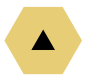 Polygon-Yellow